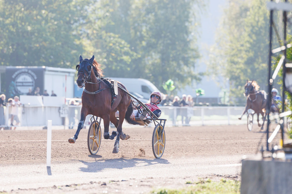 Lightning Stride loisti viime syksynä ylivoimaisena derbyvoittajana. Lauantaina se pyrkii valloittamaan myös Arvid Åvallin Tammaderbyn.