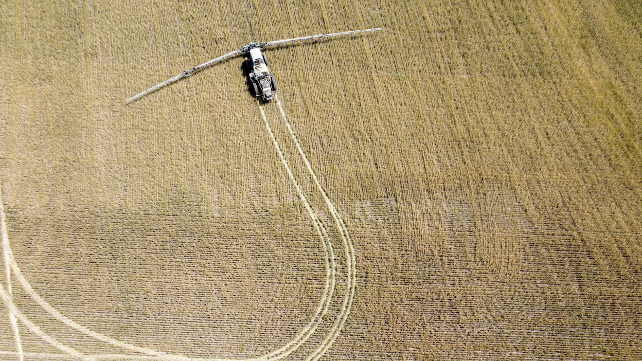 Venäjä on varastanut viljaa Ukrainasta ainakin noin 537 miljoonan euron edestä, kertoo uutistoimisto AP:n ja PBS-kanavan Frontline-dokumenttiohjelman laaja yhteistutkimus. Kuva odessalaiselta pellolta on kesäkuulta. LEHTIKUVA / AFP.