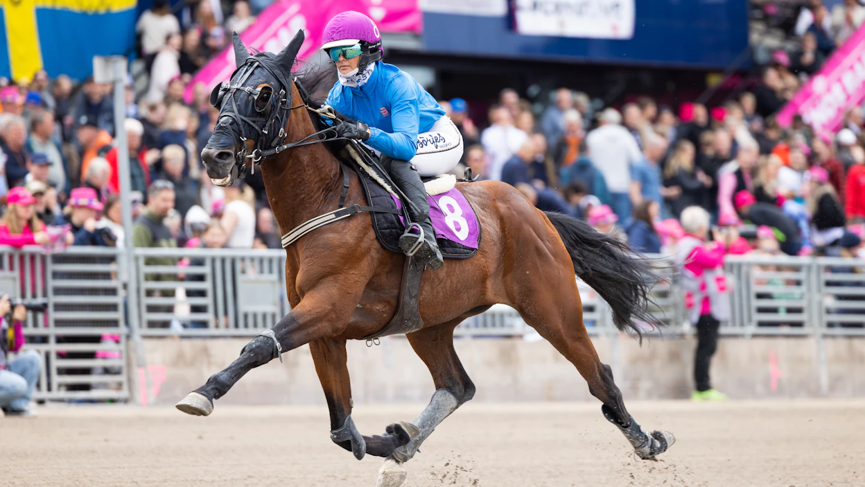 Sofia Adolfsson sijoittui viime vuonna viidenneksi Joyeux du Cygnellä Elitloppet-sunnuntain montéeliitissä.