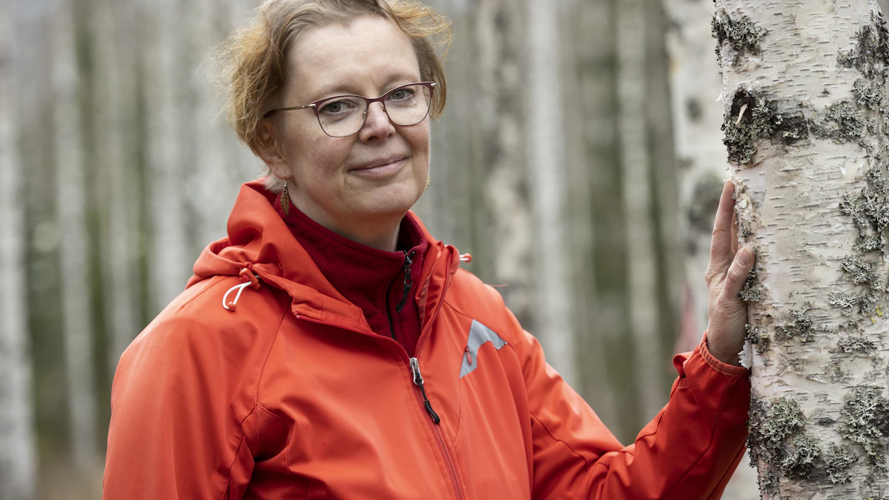 Tartuntavyöhykkeellä on nyt päinvastainen tilanne kuin koronan aikana. Metsään ei ole asiaa, Outi Pettersson pohtii.