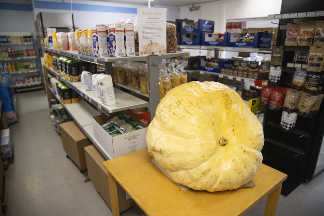 Kyläkaupan halloween-kilpailussa asiakkaat saivat arvata Tarmo Seilan kasvattamien kurpitsojen painoa. Lapsille ja aikuisille oli oma sarja. Voittajat saivat palkaksi karkkipusseja ja kahvipaketteja.