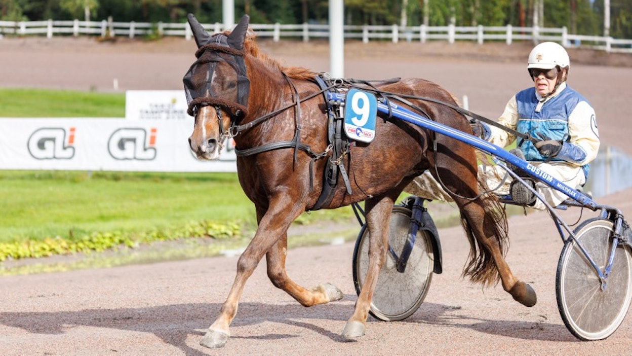 Aissa on startannut urallaan 51 kertaa totosijoin 1-5-4. Tamma on tienannut 8 760 euroa.