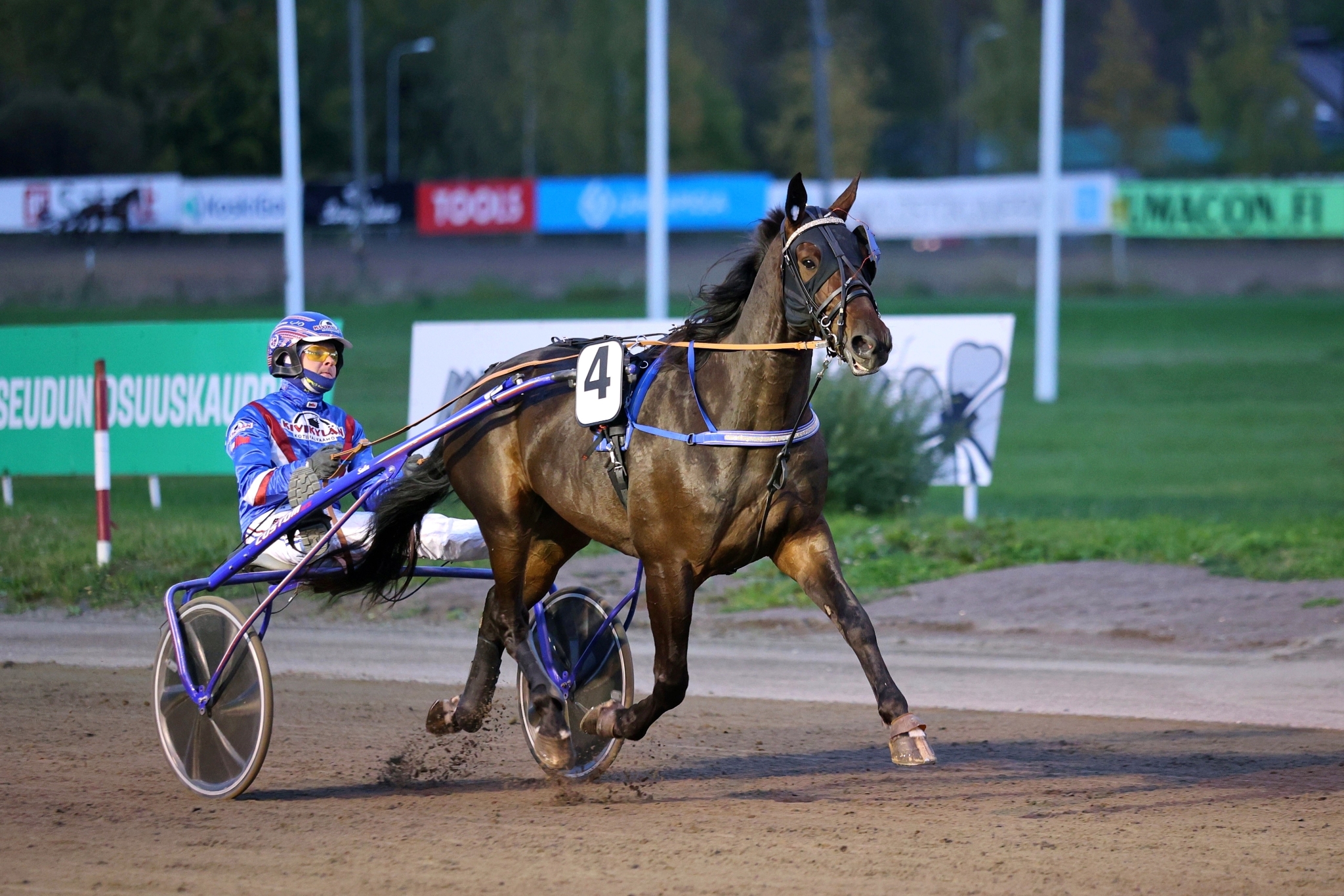 Prasutagus Secret osoitti viimeistään Kymenlaakso-ajon karsinnoissa olevansa kova tekijä kolmivuotisikäluokan kisoissa. Olli Koivunen jatkaa rattailla finaalissa.