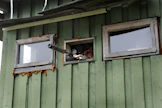 Suomen Sikayrittäjät ry kannustaa villisikajahtiin ja maksaa 185 euron suuruista toiminta-avustusta villisikoja kaataville metsästysseuroille.