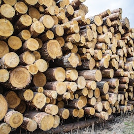 Mäntytukin keskikantohinta oli viime viikon puukaupoissa 63,18 euroa kuutiometriltä.