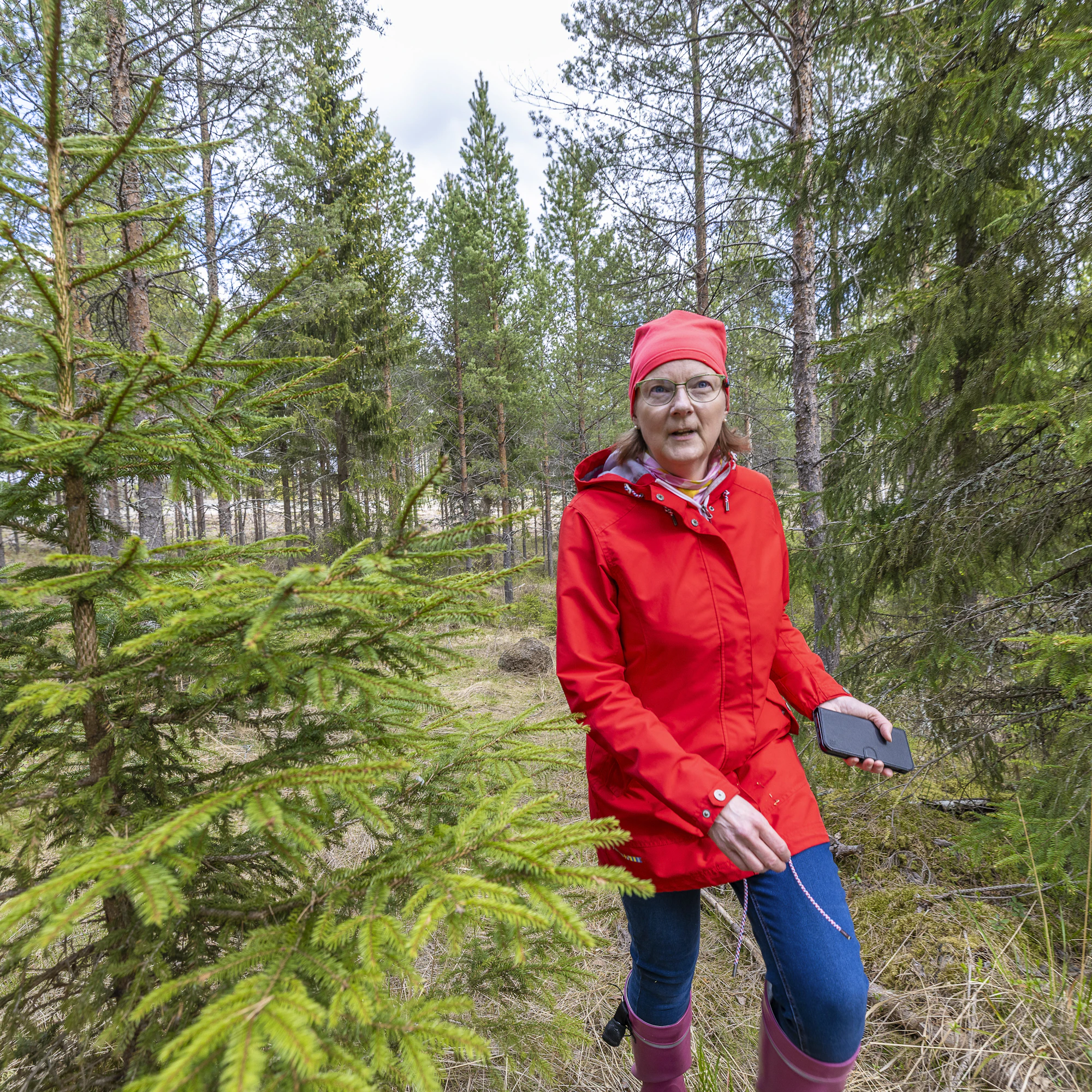 Mirja Koppo säikähti, kun teollisuusalueeksi kaavoitettava alue nielaisi kokonaan hänen sukutilansa maat peltoineen ja metsineen. Nyt näyttäisi siltä, että hänen tilansa säilyy maa- ja metsätalouskäytössä.