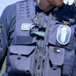 Poliisi määräsi koiraa tavoitelleen suden lopetettavaksi syyskuussa. LEHTIKUVA / Elsa Paakkinen.