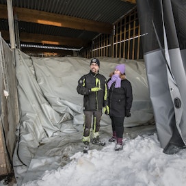 Oma biokaasuvoimala otettiin käyttöön vuosi sitten. Pressun alla muhii lantaa, olkea ja kuivaheinää, Mari ja Sami Alanko kertovat. 