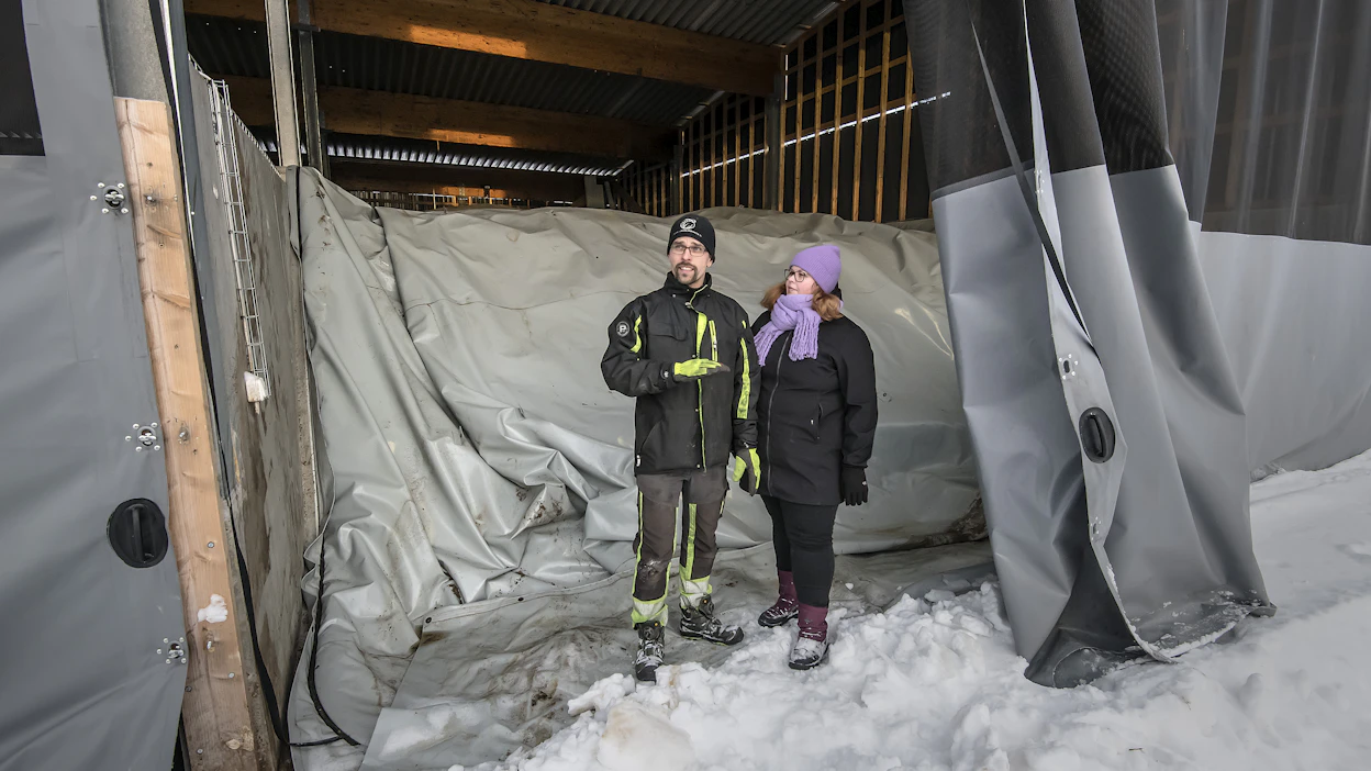 Oma biokaasuvoimala otettiin käyttöön vuosi sitten. Pressun alla muhii lantaa, olkea ja kuivaheinää, Mari ja Sami Alanko kertovat.