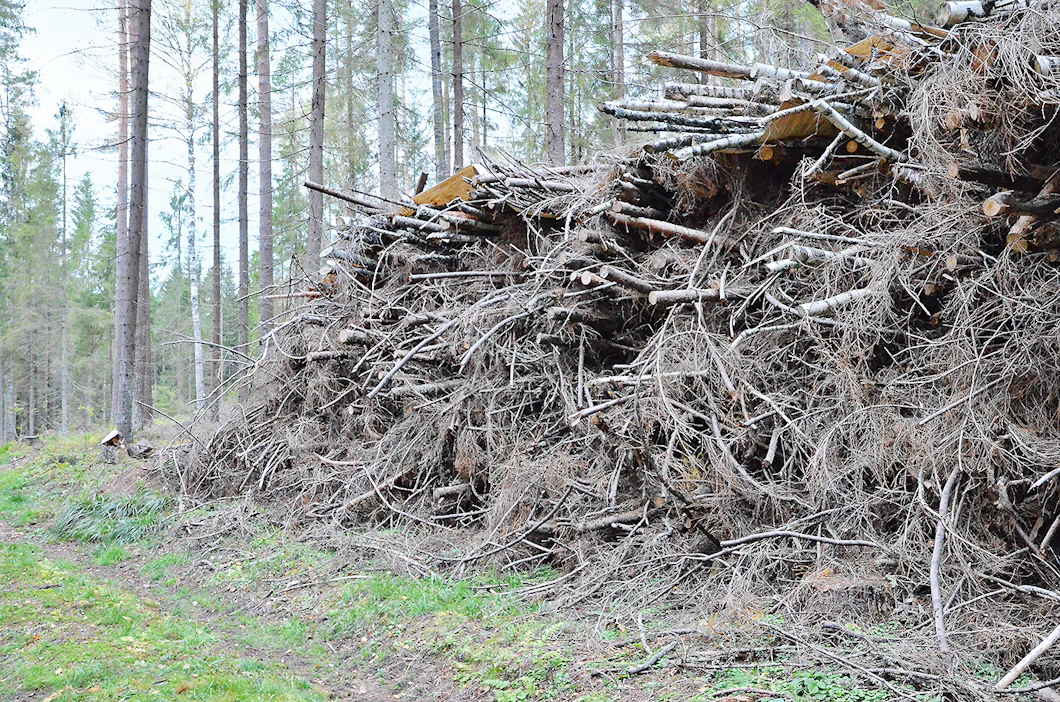 Latvusmassaa korjataan pääasiassa reheviltä kuusivaltaisilta aloilta. Tienvarressa kuivuvat hakkuutähteet haketetaan usein paikan päällä.