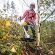 Metsään.fissä näkyvä tieto metsästä sekä metsänhoidon ja hakkuiden ehdotukset ovat jatkossa paremmin ajan tasalla.