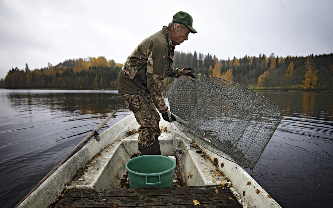 Kalastus on ikivanha kotimainen elinkeino, joten sana on vastustanut muiden kielien vaikutusta. Kuvassa Weke-katiskojen kehittäjä Veikko Hakala.