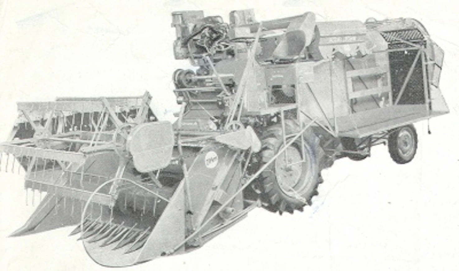 59KolaCombi