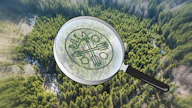 Verottajan mielestä alle kahden hehtaarin metsätilalla ei voi harjoittaa metsätaloutta.