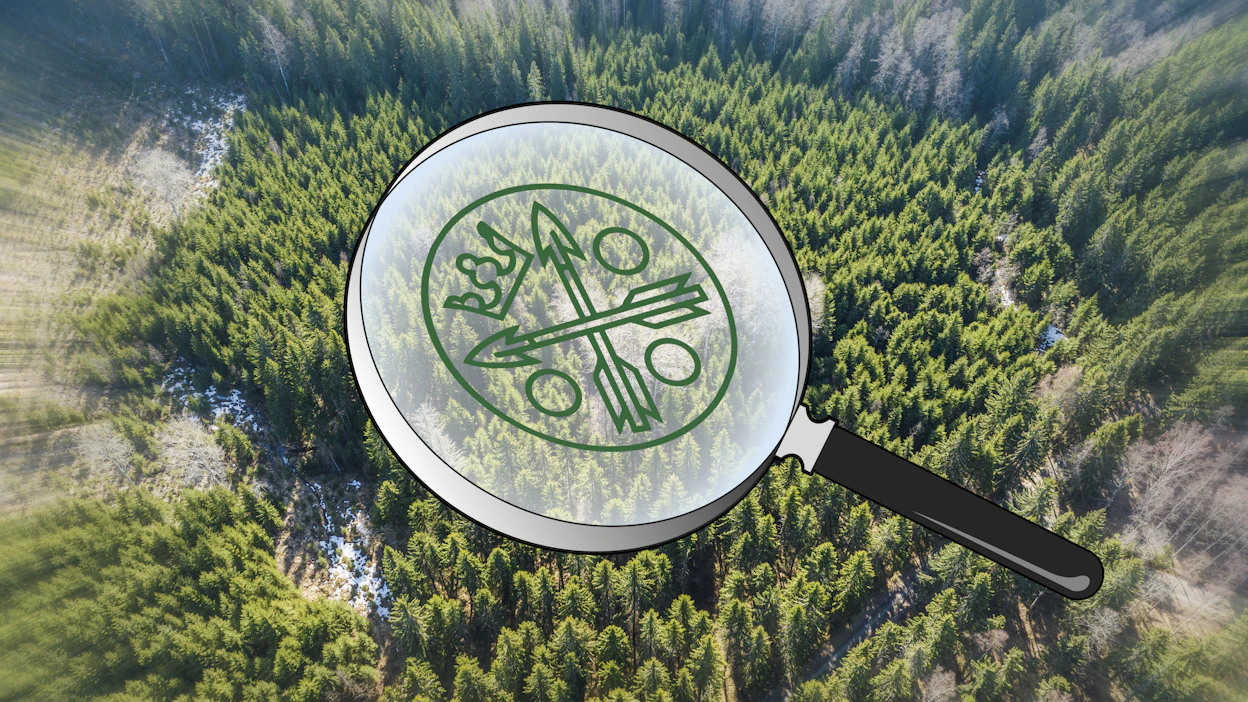 Verottajan mielestä alle kahden hehtaarin metsätilalla ei voi harjoittaa metsätaloutta.