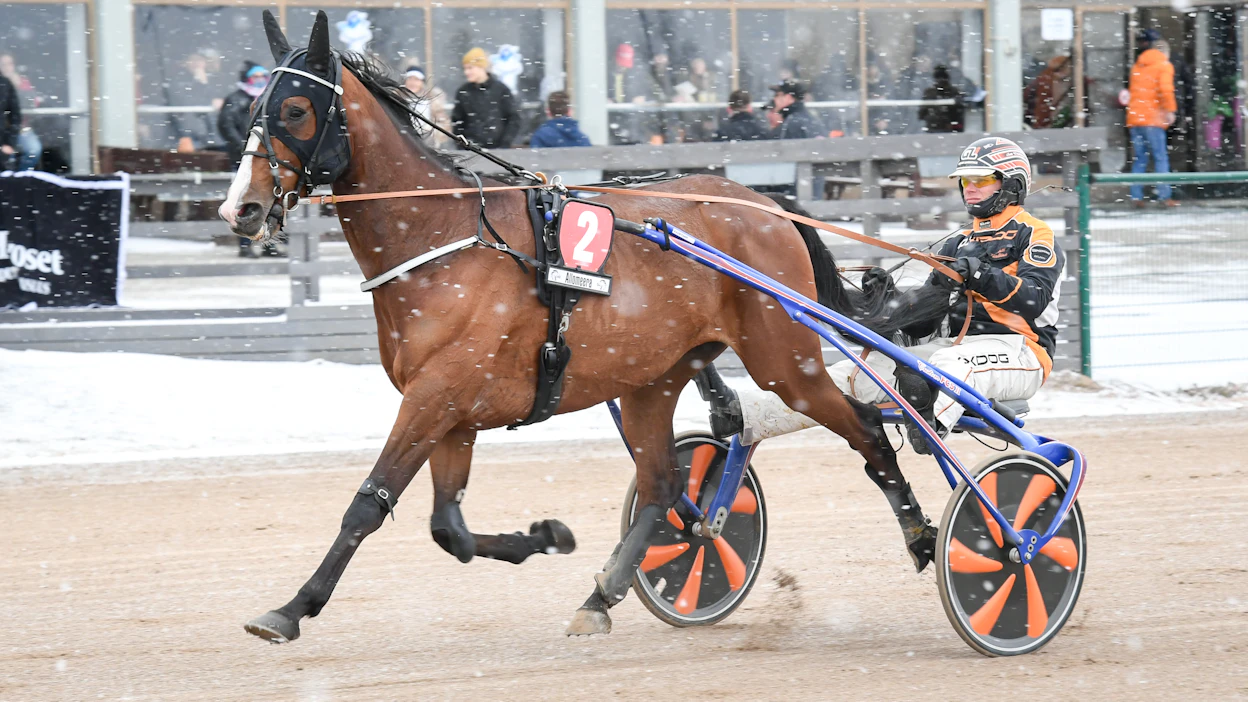 Impresario on kolmannen GLi Grand Prix -karsinnan suursuosikki.