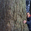 Douglaskuuset kasvavat suuriksi myös Suomessa. Kuvassa Jukka Reinikainen esittelee moista jättiä Elimäen Arboretumissa.