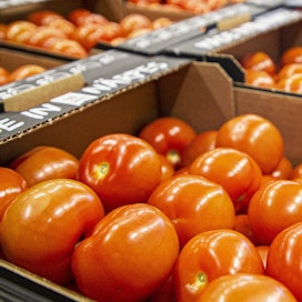 Suomalainen syö keskimäärin yli 10 kiloa tomaatteja vuodessa.