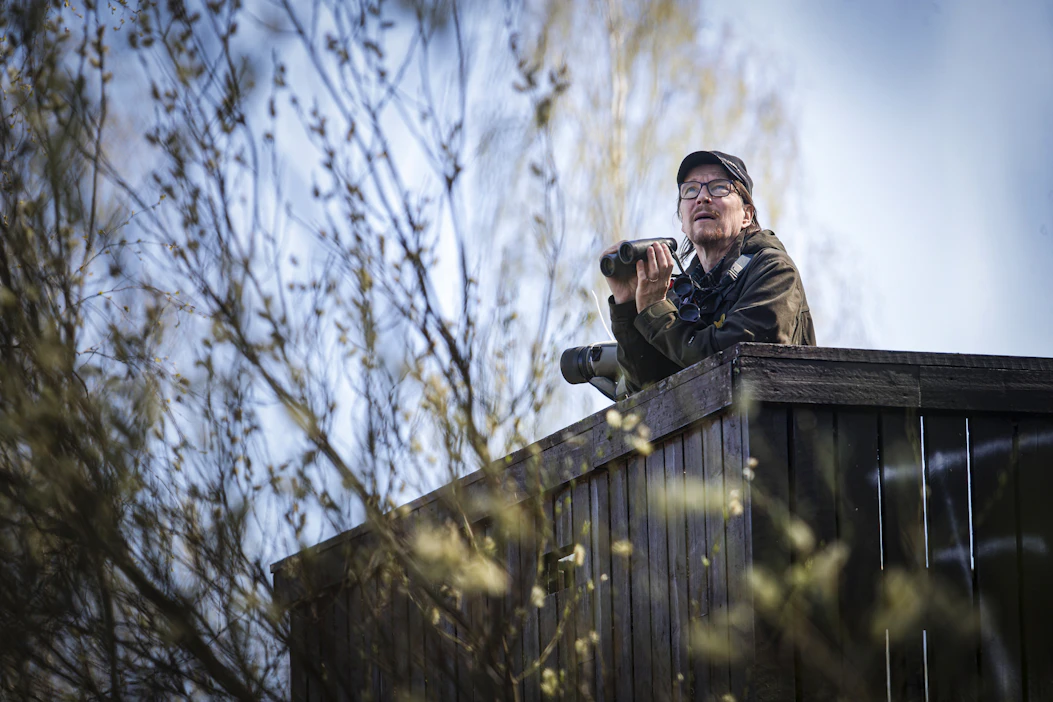 Harri Högmander on harrastanut lintujen bongausta jo teinipojasta saakka. Viikko sitten viikonloppuna hän kiikaroi Jyväskylän Tuomijärven lintutornissa.