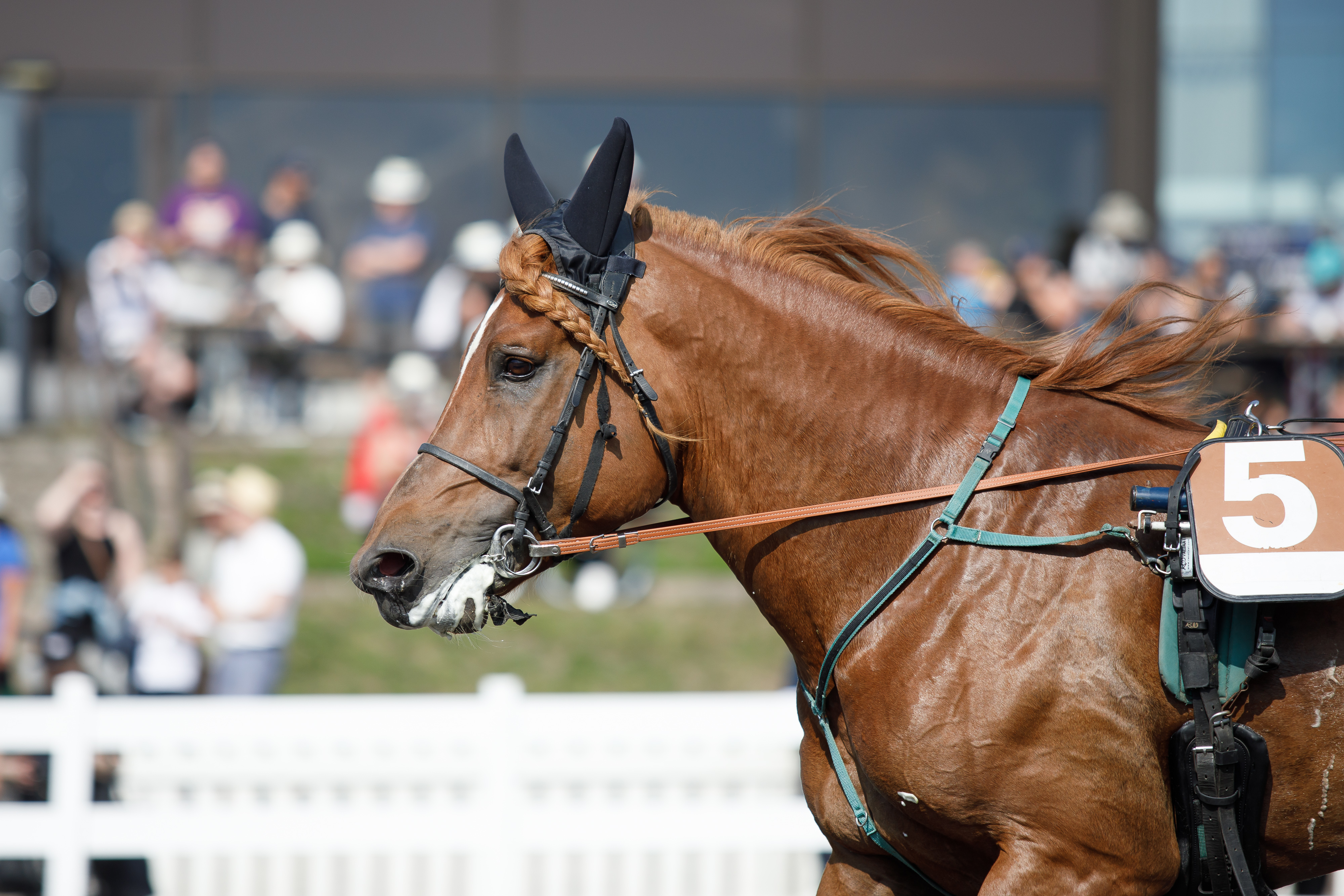 Herra Heinämiehen kuninkuuskilpau-urakka jäi kesken ennen 3 100 metriä.