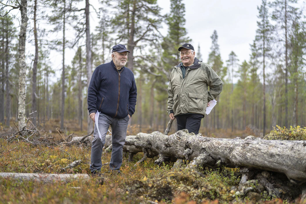 Inarin yhteismetsän Vesa Väisänen ja Yrjö Mattila kuvattuina lokakuussa Ivalossa.