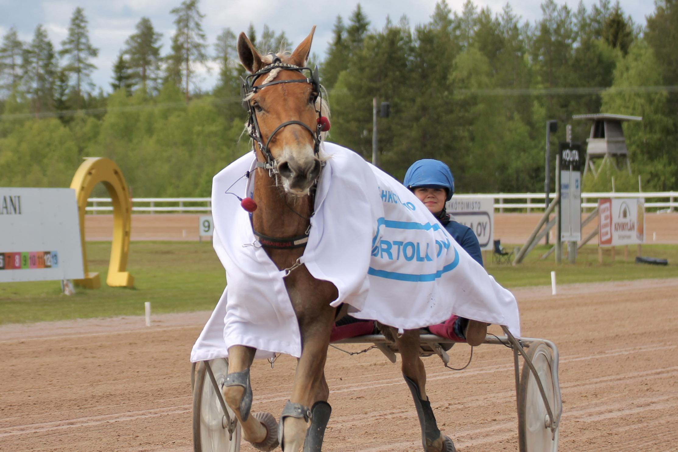Sanahelinä on Jenna Pentikäisen menestyneimpiä hoidokkeja. Kuvassa kaksikko kunniakierroksella Kajaanin raveissa.