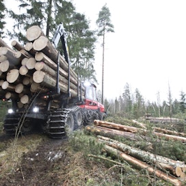 Suomen puustoisimmat metsät löytyvät Pälkäneeltä.