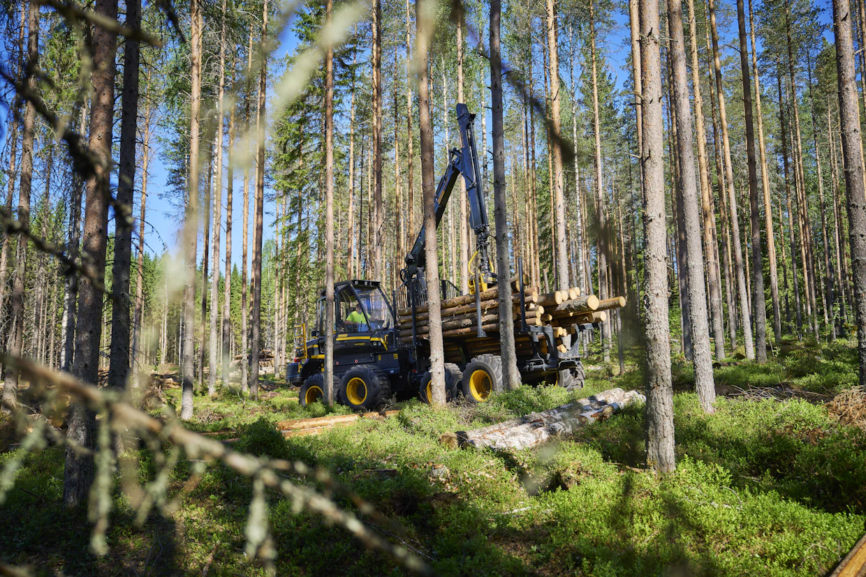 Wisent Thin Line on varustettu yksinkertaisemmalla ja kevyemmällä kuormatilalla. Sen kantavuus on 10 tonnia, normaaliversiossa kantavuus on 12 tonnia.
