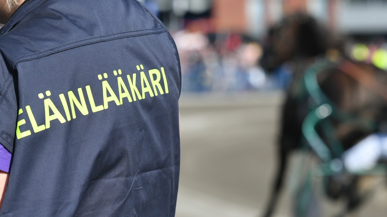 Suomessa opiskelleita eläinlääkäreitä laillistettiin viime vuonna 63.