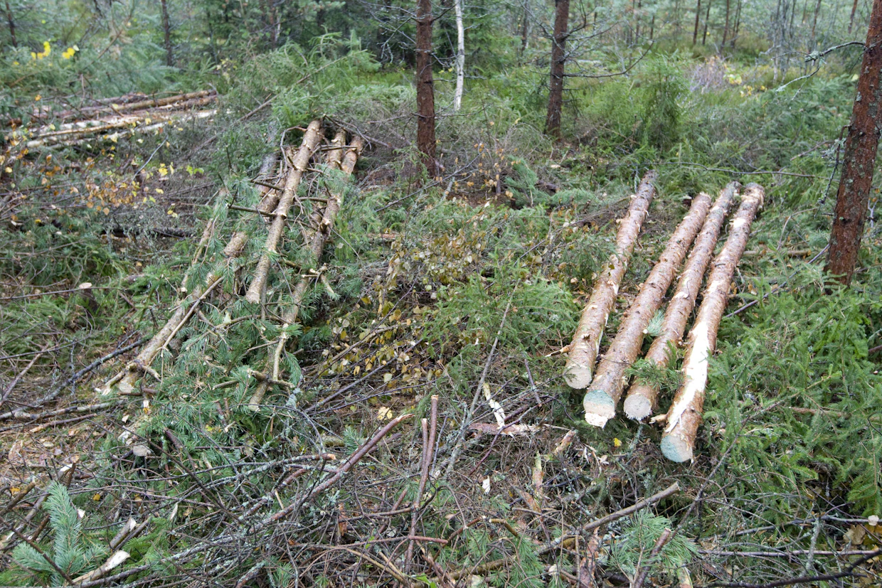 Kuitupuun hinnasta on kesän jälkeen karsiutunut pois 8 euroa kuutiometriltä.