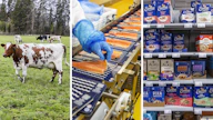 Elintarvikeketjun tulonjako on sitkeä ongelma. Alkutuottajan neuvotteluasema on ketjussa kaikkein heikoin. Kuvituskuva.