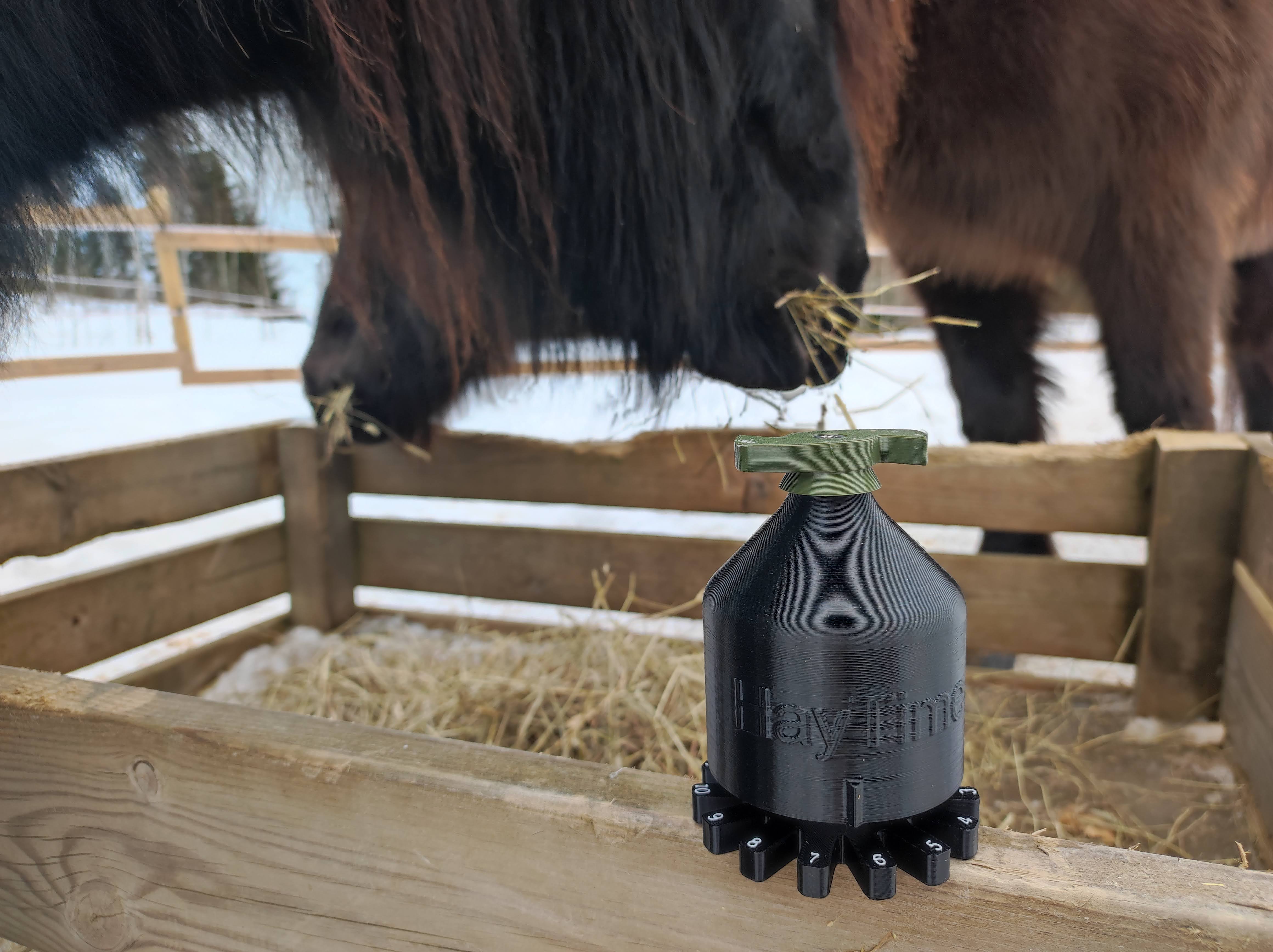 Vihdin Haimoossa asuvat tammat Venja ja Elsa syövät nykyään säännöllisesti neljän tunnin välein. Niiden tarhassa on ruokailualueita, joiden portit aukeavat omistajien kehittämällä ajastimella.