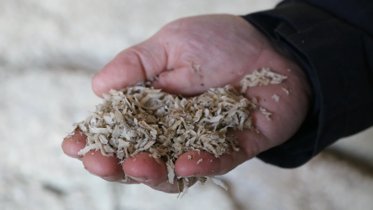 Juho Isopahkalan mukaan tilalla riittää myös puskuria, vaikka rehua menee vuositasolla 13 000 tonnia. Tuoreleike on tilan rehukomponenteista uusin, joka otettiin vuodenvaihteessa pienen erän verran koekäyttöön.