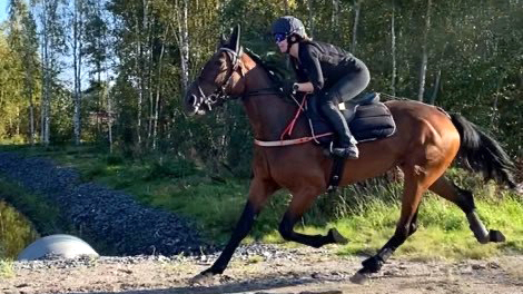 Suvi Taikina-Aho uskoo, että Infinette voi hyvinkin pärjätä pohjoisemman Suomen lähdöissä. Kuvassa Heidi Piippo ensimmäistä kertaa Infinetten selässä.