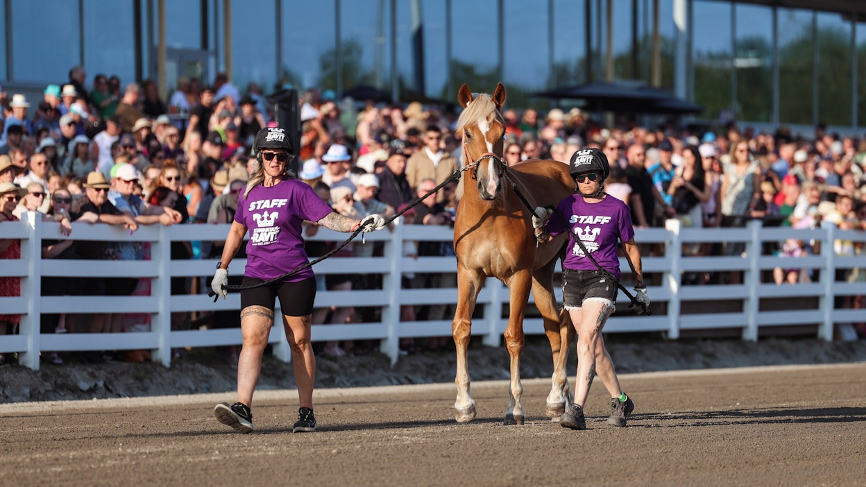 Viime vuonna Oulun varsahuutokaupassa oli mahtava määrä katsojia.