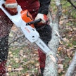 Stihl MSA 70 C-B on melkeinpä lelumaisen pieni saha, mutta juuri sen koko yhdessä riittävän leikkuutehon kanssa tekee minisahasta näppärän.