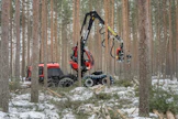 Suomen metsistä noin 70 prosenttia on kasvuvaiheessa, jossa joko ensimmäinen tai toinen harvennus on ajankohtainen.