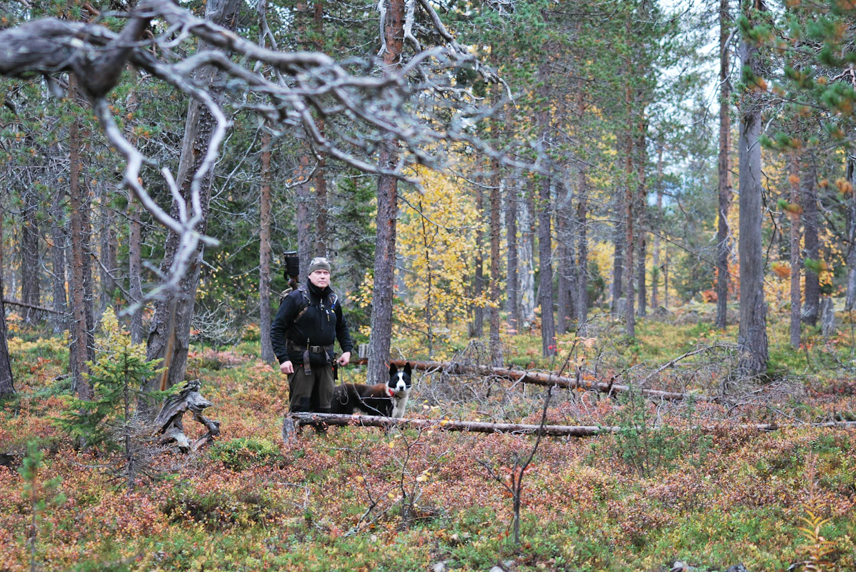 ”Raskas rinkka selkään ja ase olalle. Kuljetaan yhdessä koiran kanssa ja etsitään karhu kairasta”, Inarin Kessin kairassa metsästävä Jani Leinonen sanoo.