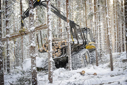 Mäntykuitupuun keskikantohinta on kohonnut vuodessa yli 30 prosenttia.