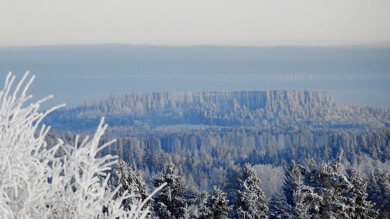 Lukijan kuvassa voi nähdä metsämaiseman, joka kohoaa kuin harjanteiseksi vuoreksi.
