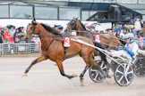 Usain Töll ja Christoffer Eriksson voittivat viime keväänä Elitloppetin kakkoskisan Sweden Cupin karsinnan Solvallassa. Erik Bondo valmensi ruunaa silloin, mutta hoitajana oli Anu Intonen, kuten nytkin.
