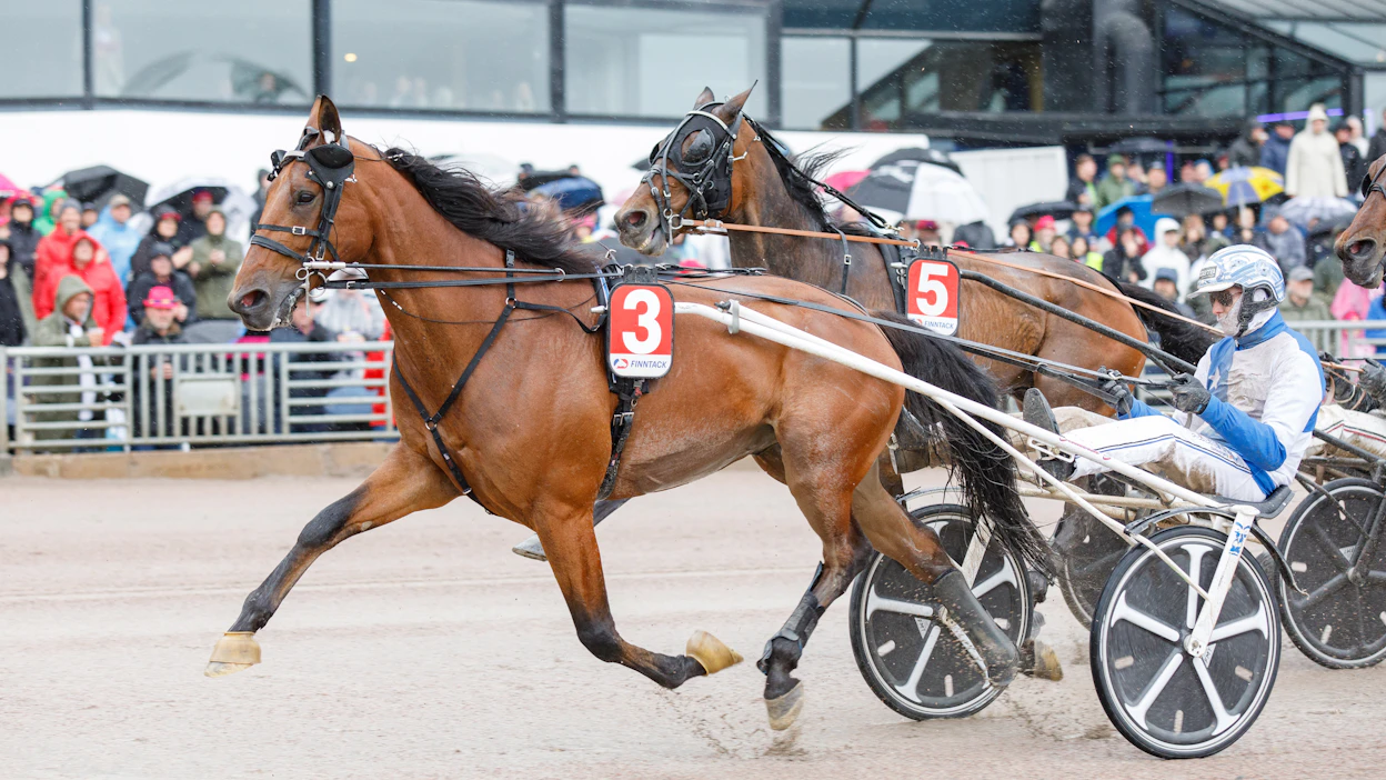 Usain Töll ja Christoffer Eriksson voittivat viime keväänä Elitloppetin kakkoskisan Sweden Cupin karsinnan Solvallassa. Erik Bondo valmensi ruunaa silloin, mutta hoitajana oli Anu Intonen, kuten nytkin.