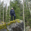 Porilainen Suvi Korjonen sai 14 hehtaaria metsää lahjaksi vanhemmiltaan.