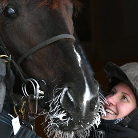 Koko ikänsä hevosten kanssa harrastanut Maria Kurttila kerto pitävänsä persoonallisista hevosista. Yksi sellainen on Club Nord Pro, joka on menestynyt hyvin kärrylähdöissä, ja hevosesta on kovat toiveet tulevaisuudessa myös monté-lähtöihin.