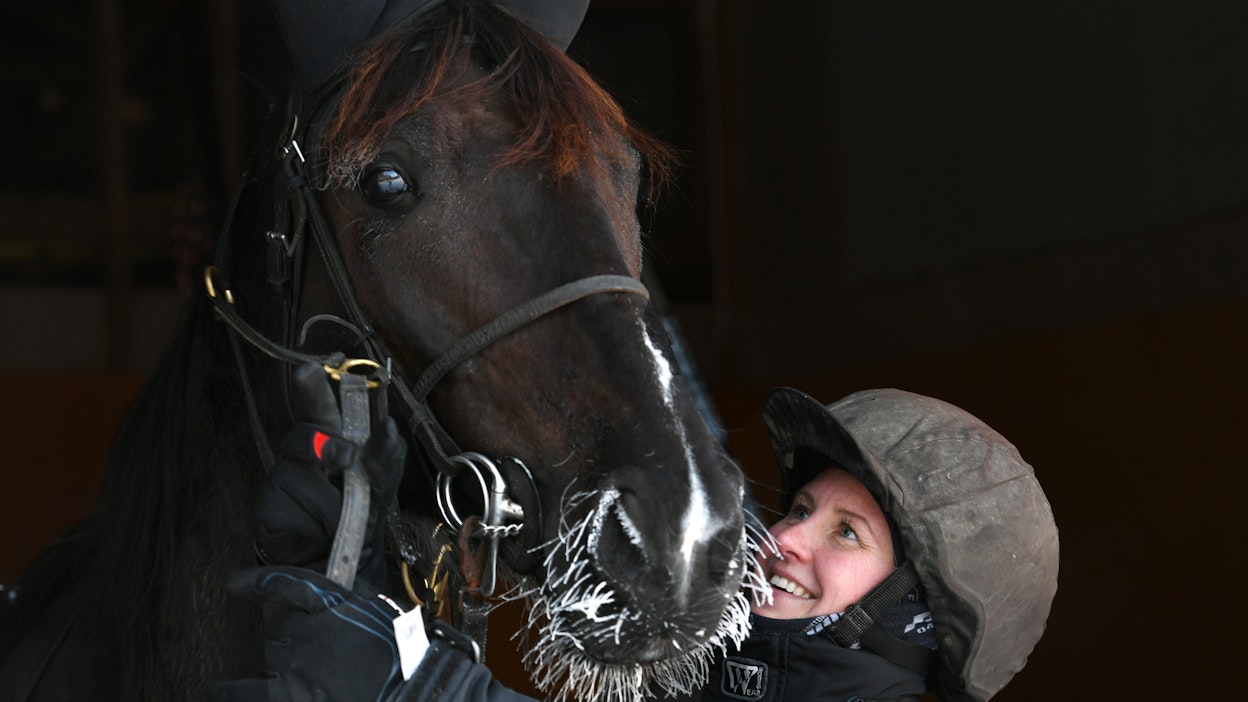 Koko ikänsä hevosten kanssa harrastanut Maria Kurttila kerto pitävänsä persoonallisista hevosista. Yksi sellainen on Club Nord Pro, joka on menestynyt hyvin kärrylähdöissä, ja hevosesta on kovat toiveet tulevaisuudessa myös monté-lähtöihin.