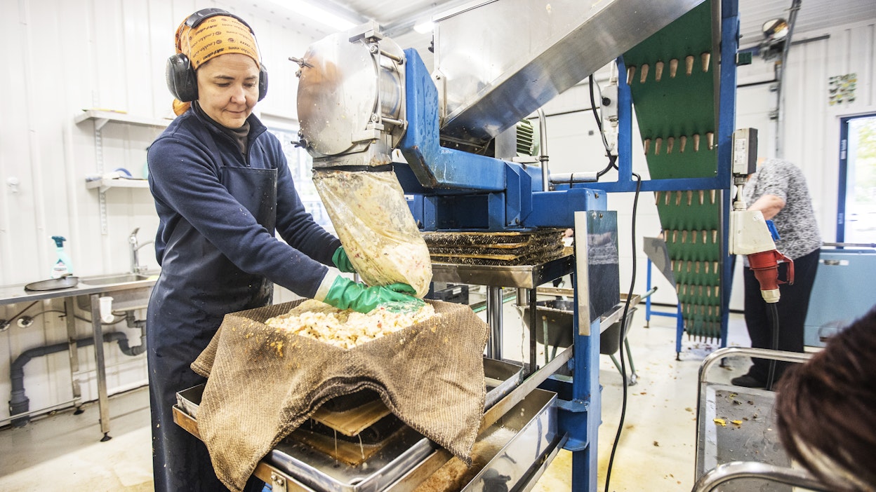 Paula Achrénin mehuasemalla eletään kiireisiä viikkoja.