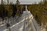Jos henkilö tuupertuu metsään vaikkapa sairaskohtauksen takia, häntä on sitä vaikeampi löytää, mitä enemmän aikaa kuluu. 