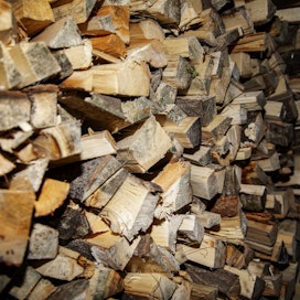 Valtaosa viime vuonna myydyistä polttopuista oli lehtipuuta. Havupuusta valmistetun polttopuun kysyntä oli vähäistä, sillä useimmat lämmittäjät halusivat polttaa pelkästään koivua.