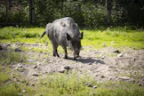 Tartunta-alueen ydinaluetta laajennettiin. Kuvituskuva.
