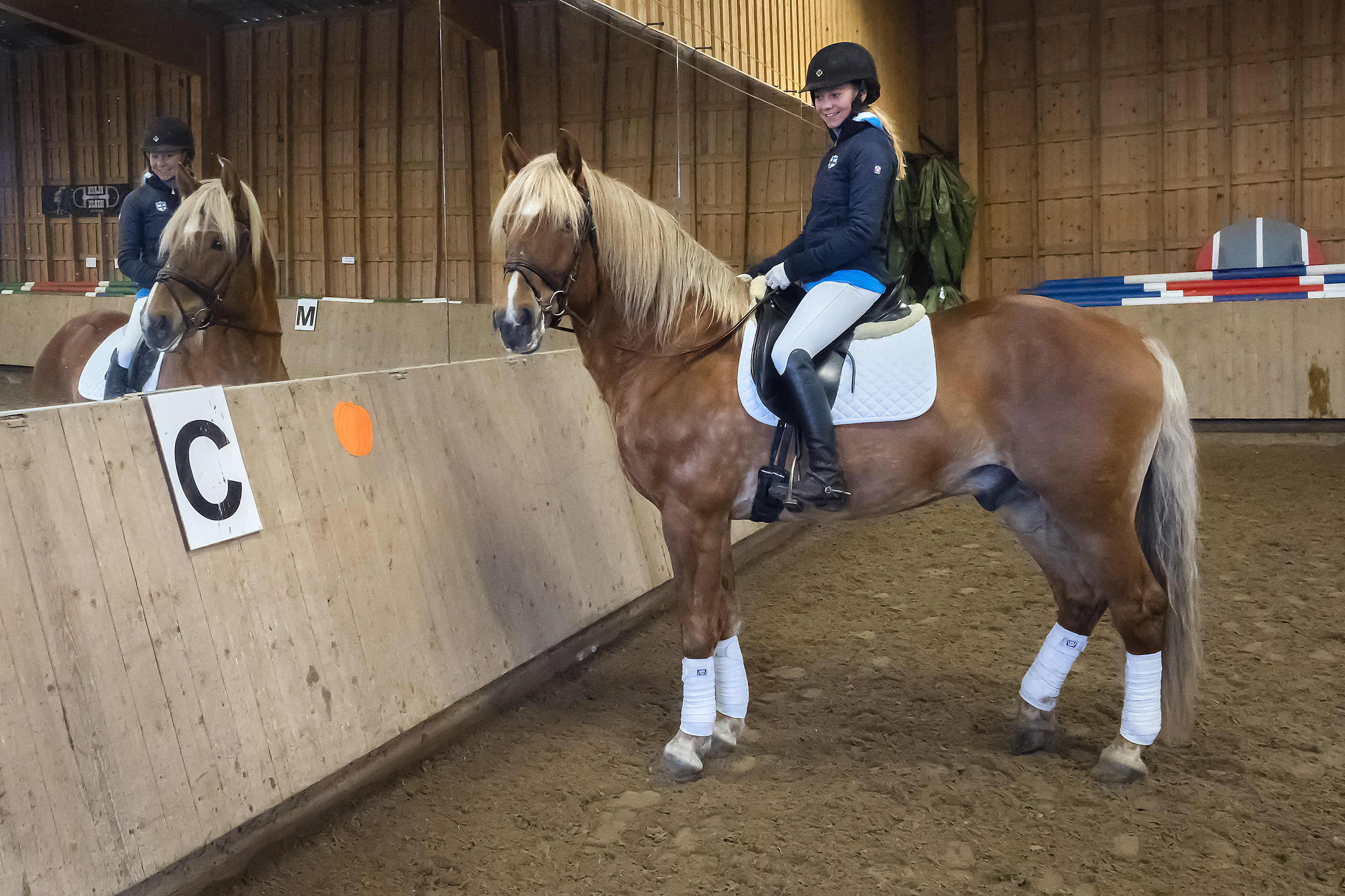 Hiljalan Fantom oli 22 tammallaan kauden suosituin suomenratsuori. Ratsailla Veera Peltokangas, jonka kanssa Hiljalan Fantom ansioitui kenttäratsastuksessa.